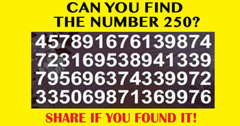 can-you-find-the-number-250