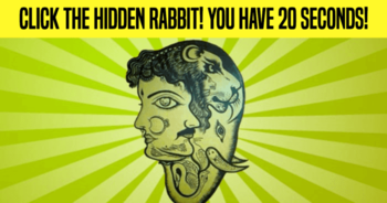 click-the-hidden-rabbit-you-have-20-seconds