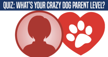 quiz-whats-your-crazy-dog-parent-level