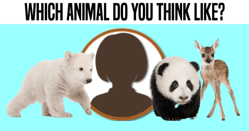 which-animal-do-you-think-like