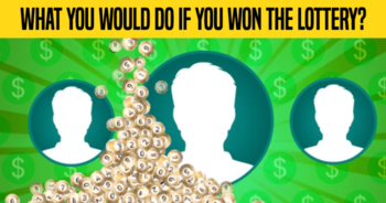 what-you-would-do-if-you-won-the-lottery