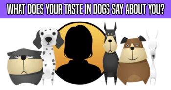 what-does-your-taste-in-dogs-say-about-you