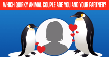 which-quirky-animal-couple-are-you-and-your-partner