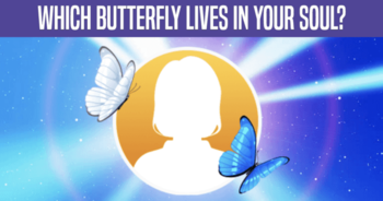 which-butterfly-lives-in-your-soul