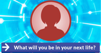what-will-you-be-in-your-next-life