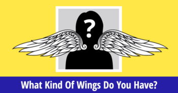 what-kind-of-wings-do-you-have