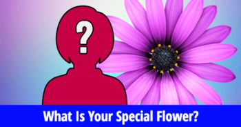 what-is-your-special-flower