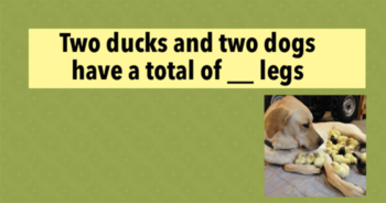 only-3-in-100-women-passed-this-tricky-iq-test-will-you
