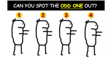 only-1-in-every-3000-people-can-pass-this-test-can-you-find-the-odd-one-out-in-just-60-seconds