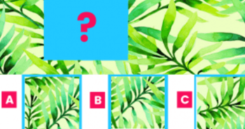 this-tricky-quiz-will-reveal-if-youre-attentive-to-details