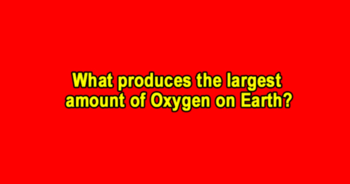 do-you-know-all-these-insane-facts