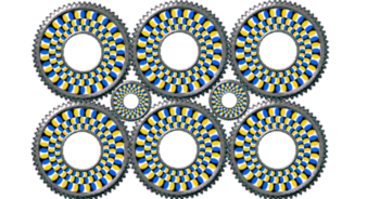 this-ultimate-visual-perception-test-will-accurately-determine-your-iq-score