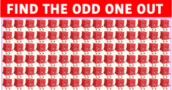 can-you-spot-the-odd-one-out-this-mind-boggling-puzzle-will-put-your-skills-to-the-test