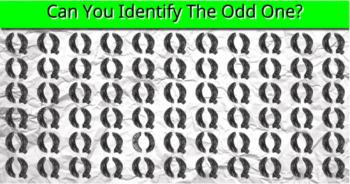 92-of-people-cant-find-the-odd-one-out-in-5-seconds