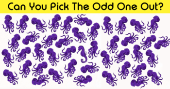can-you-identify-the-odd-one-out