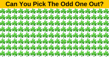 you-are-a-genius-if-you-can-find-the-four-leaf-clover-in-under-3-seconds