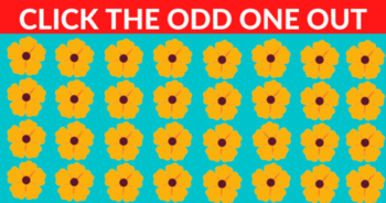 are-you-smart-enough-to-pass-this-odd-one-out-test