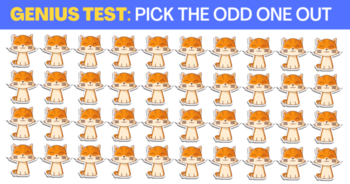 only-people-with-sharp-vision-can-find-the-different-kitty