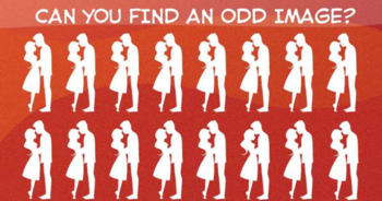 only-4-can-find-the-couple-hiding-in-this-image-can-you-find-them