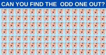 can-you-spot-the-odd-one-out-immediately