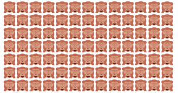 clever-people-only-pick-the-odd-one-out-in-5-seconds