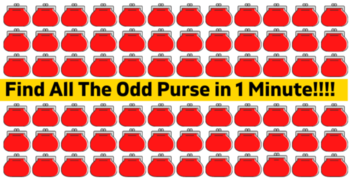 only-19-of-people-will-find-the-odd-purse-out-in-1-minute