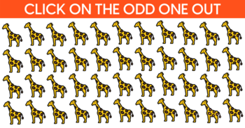 only-watchful-people-will-find-the-odd-giraffe-hiding-in-the-picture