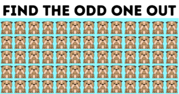 test-find-the-odd-one-out-in-less-than-7-seconds