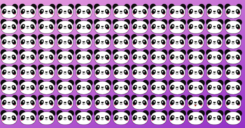 youre-a-great-observer-if-you-can-pick-the-odd-panda-out-only-4-will