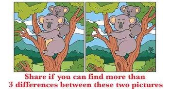 can-you-find-more-than-3-differences