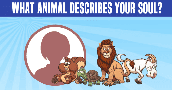 what-animal-describes-your-soul-quiz