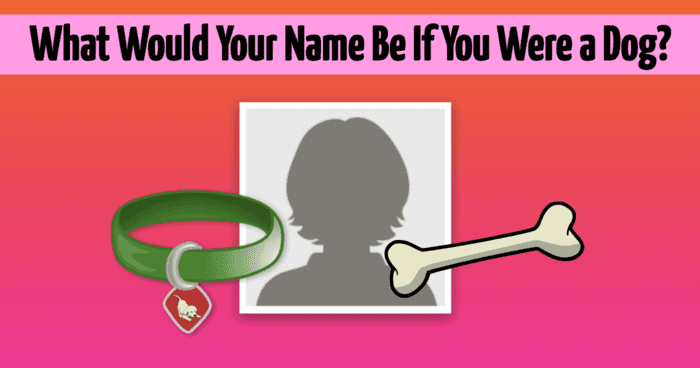 what-would-your-name-be-if-you-were-a-dog-quiz