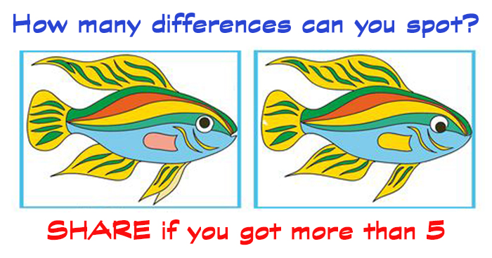 How Many Differences Can You Spot Take The Riddle How Many Differences Can You Spot Take The Riddle