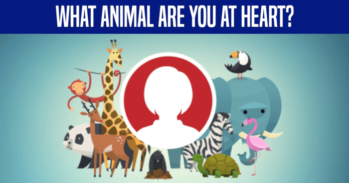 what-animal-are-you-at-heart-quiz