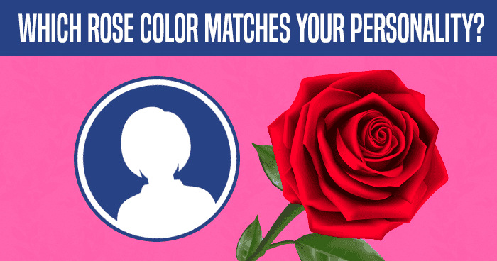 which-rose-color-matches-your-personality-quiz