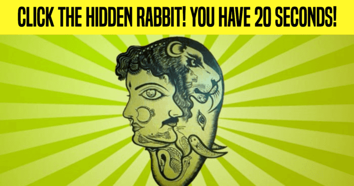 click-the-hidden-rabbit-you-have-20-seconds-quiz