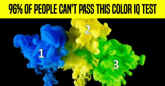 96-of-people-cant-pass-this-color-iq-test