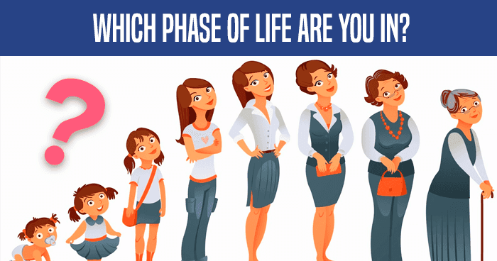 which-phase-of-life-are-you-in-quiz