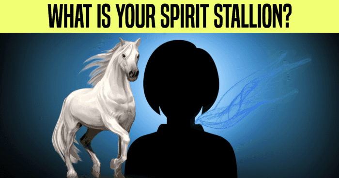what-is-your-spirit-stallion