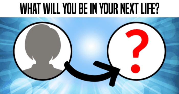 what-will-you-be-in-your-next-life