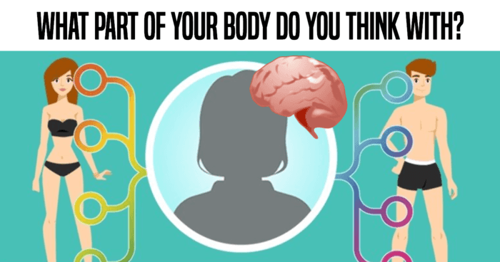 what-part-of-your-body-do-you-think-with