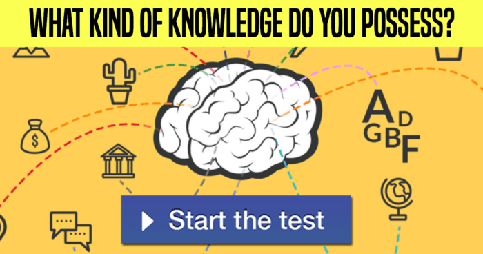 what-kind-of-knowledge-do-you-possess