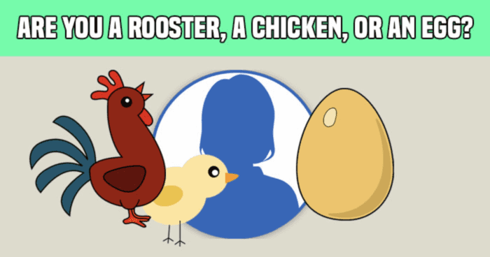 are-you-a-rooster-a-chicken-or-an-egg