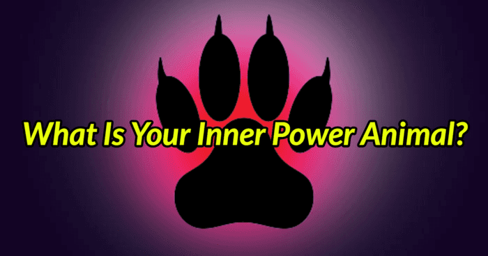 what-is-your-inner-power-animal-quiz