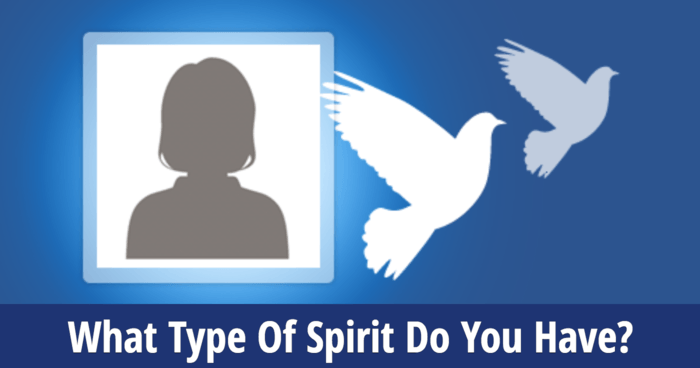 What Type Of Spirit Do You Have?