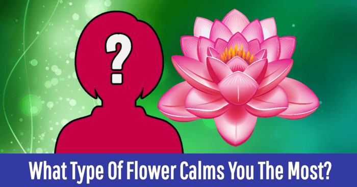 what-type-of-flower-calms-you-the-most-quiz