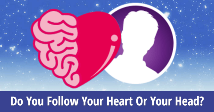 do-you-follow-your-heart-or-your-head
