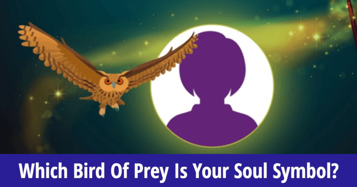 which-bird-of-prey-is-your-soul-symbol
