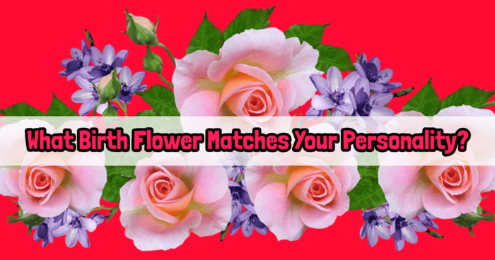 what-birth-flower-matches-your-personality
