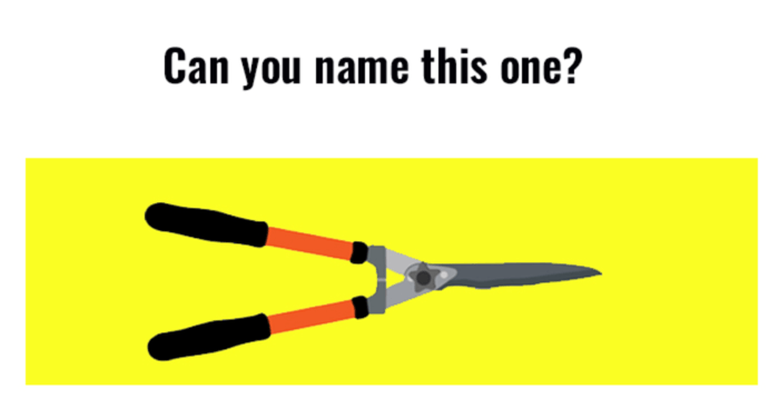 only-2-in-50-woman-can-name-these-garden-tools